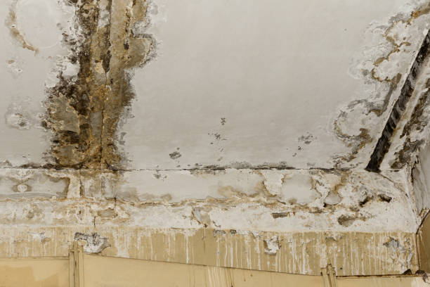 Trusted Marion, OH Water damage restoration Experts